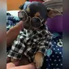 Ali Ríos - @alixrios3 - TikTok