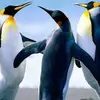 alixrios4 - @alixrios4 - TikTok