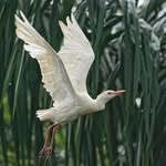 Aliya Glass - @aliyaglass70 - Instagram
