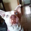 aliyahowens428 - @aliyahowens42844 - TikTok