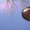 Aliyah Walker - @aliyah_walker_ - TikTok