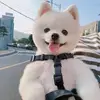 Aaliyah.Watson - @aaliyah.watson53 - TikTok