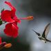 Aliza Mitchell - Facebook