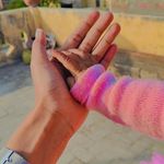 Alka Malik - @alkamalik16 - Instagram
