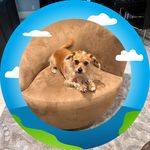Allan Barsky - @allanbarsky - Instagram