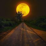 счастливая - @dvorkina_alla - Instagram