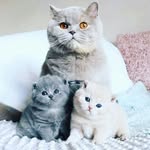 allakaganyk - @allakaganyk - Instagram