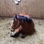 Allan Abramson - @abramson.allan - Instagram