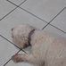 Allan Andre - Facebook