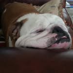 Allan Archer - @bullseyeyed1 - Instagram