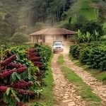 Allan Argueta - @allan15552 - Instagram