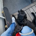 Allan Bachmann - @ajaybachmann - Instagram