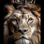Allan Barros - Facebook