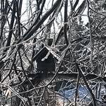 Allan Baxter - @allan.baxter.3572 - Instagram