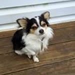 Allan Baxter - @baxter2712 - Instagram