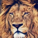 Allan baxter - @allanbaxter599 - Instagram