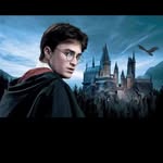 Allan Benoit - @allanbenoit3 - Instagram