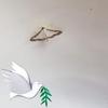 Allan Berry - @allan.berry0 - TikTok