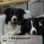 Alan Beveridge - @alangdamtash - Instagram