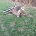 Allan Beverly - Facebook