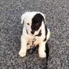 Allan Beyer - @allan.beyer - TikTok