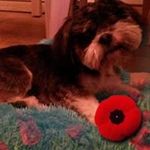 Allan Booth - @tibetanblu - Instagram