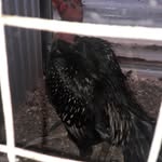 allan.boyer - @allan.407 - Instagram