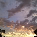 Allan Carpenter - @lansmdroid - Instagram