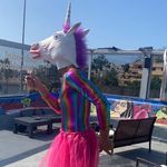 Allan chalmers - @alpall2020 - Instagram