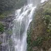 Allan Chan - @allan.chan5 - TikTok