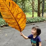 Allan Cheung - @allan.cheung - Instagram