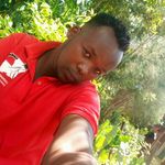 allan collins - @collins.allan - Instagram