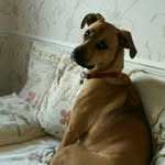 Allan Cooper - @allan.cooper.5437 - Instagram