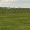 Alan Cordova - @alan.cordova798 - TikTok