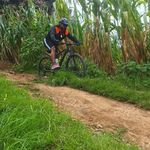 Allan Cordova - @allancordova2020 - Instagram