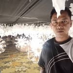 Allan Coronel - @allan_8377 - Instagram
