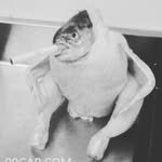 Allan Coronel - @allancoronel6 - Instagram