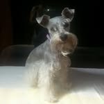 Allan Corrales Hernandez - @allancorraleshernandez - Instagram