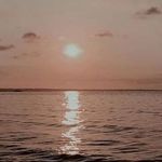 Allen Couch - @allcouch - Instagram