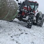 coy allan stripe - @coyallanstripe - Instagram