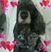 Allan Craddock - Facebook