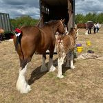 Allan Craig - @allancraig1308 - Instagram