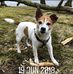 Allan Crook - Facebook