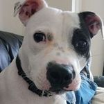 Alan Crooks - @alan.crooks.3572 - Instagram