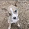 Allan Cubas - @allan.cubas - TikTok
