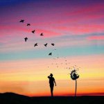 Alan Cuenca - @alan.cuenca - Instagram