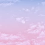 Allan Cuenca - @allan.cuenca.142 - Instagram