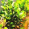 World nature - @allancullen1 - TikTok