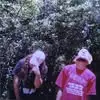 Allan Culver - @allan.culver - TikTok