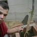 Allan Cunha - Facebook
